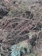 BIO – príklad 1
