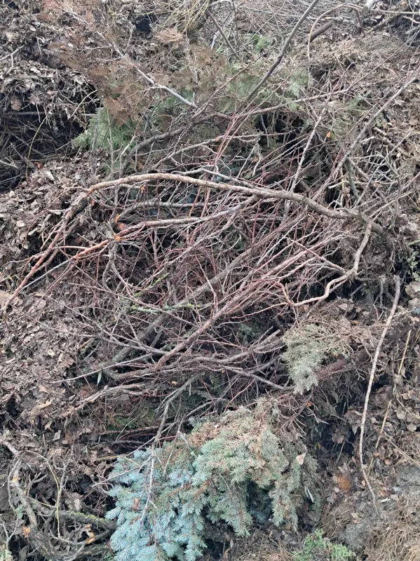 BIO – príklad 1