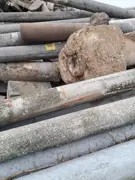Nadrozmerné betónové stĺpy s armovaním